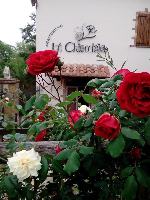 Agriturismo La Chiocciola Poggio Murella Exterior foto